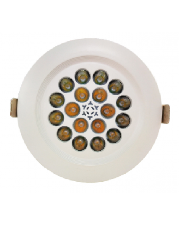 LED downlight for jewelry 