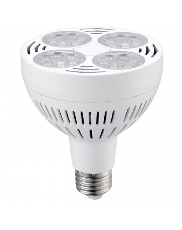 LED par30 light 