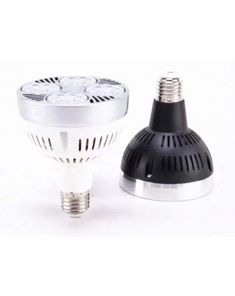 PAR38 LED light 