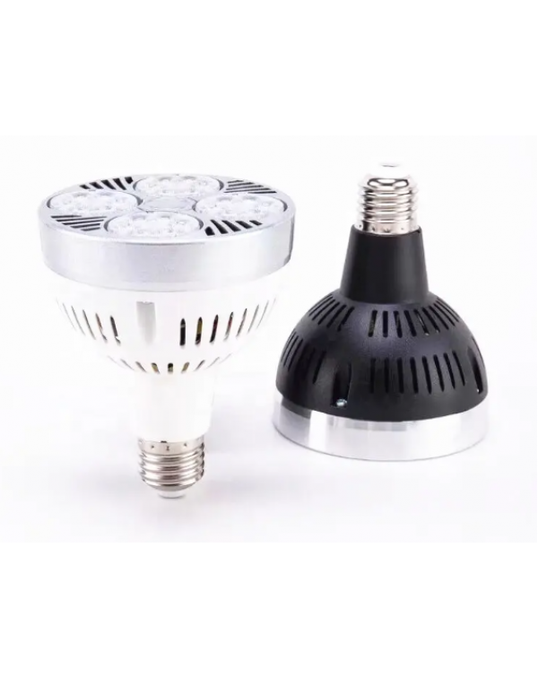 PAR38 LED light 
