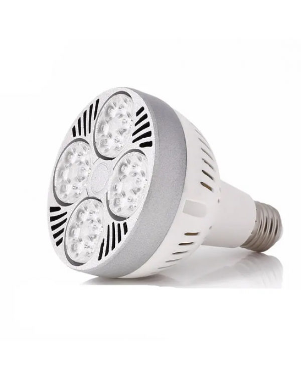 LED par30 light for jewelry 