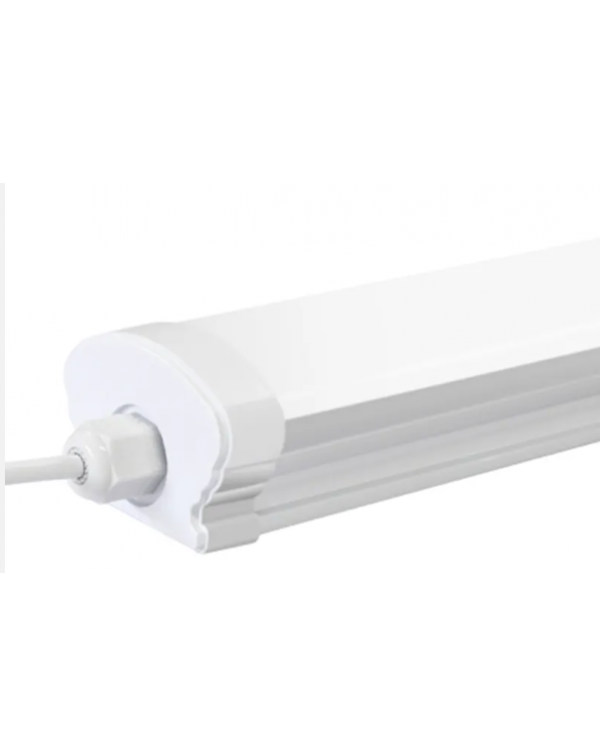 LED triproof light